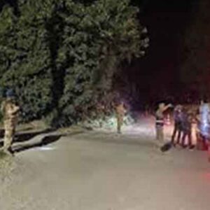 Erzin’de Narenciye Hırsızlığına Önlem