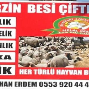 ERZİN BESİ ÇİFTLİĞİ HİZMETE GİRDİ!