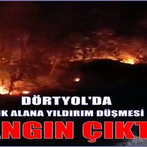 DÖRTYOL’DA ORMANLIK ALANA YILDIRIM DÜŞMESİ SONUCU YANGIN ÇIKTI!