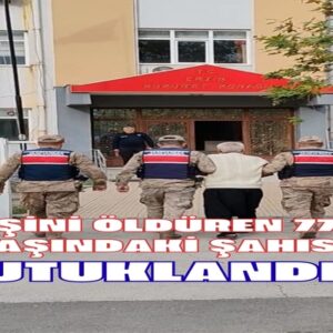 EŞİNİ BALTAYLA ÖLDÜREN 77 YAŞINDAKİ ŞAHIS TUTUKLANDI!