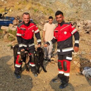 TIRMANIŞA ÇIKAN KEÇİLERİN İMDADINA İTFAİYE VE AFAD EKİPLERİ YETİŞTİ!